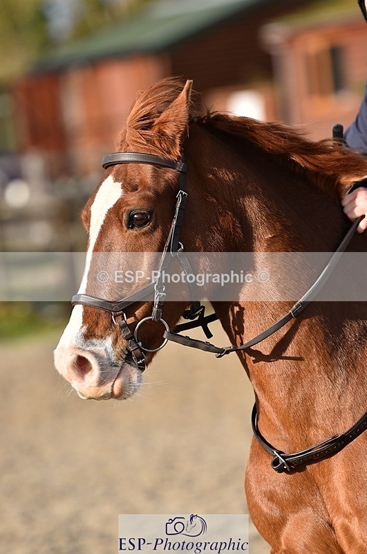 231210-130438-00638 - Cls 4 60cm