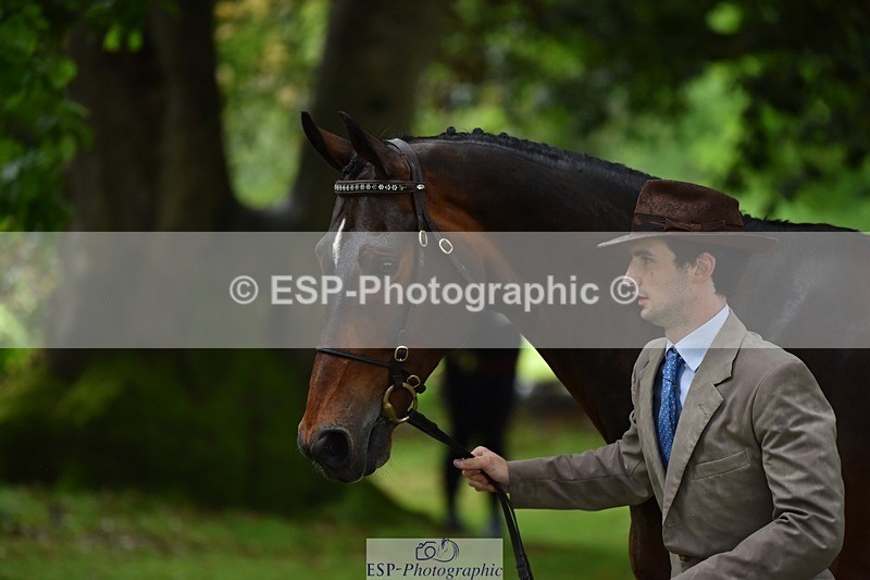 240522-161442-00808 - 162-HAZZLE_DAZZLE-Henry_Hobby