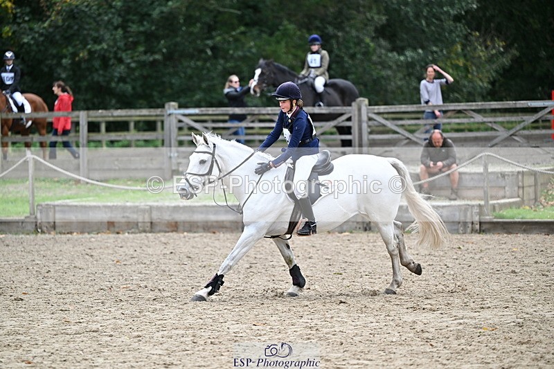 251005A-133752-04110 - Cls 09 Nov 80-85cm