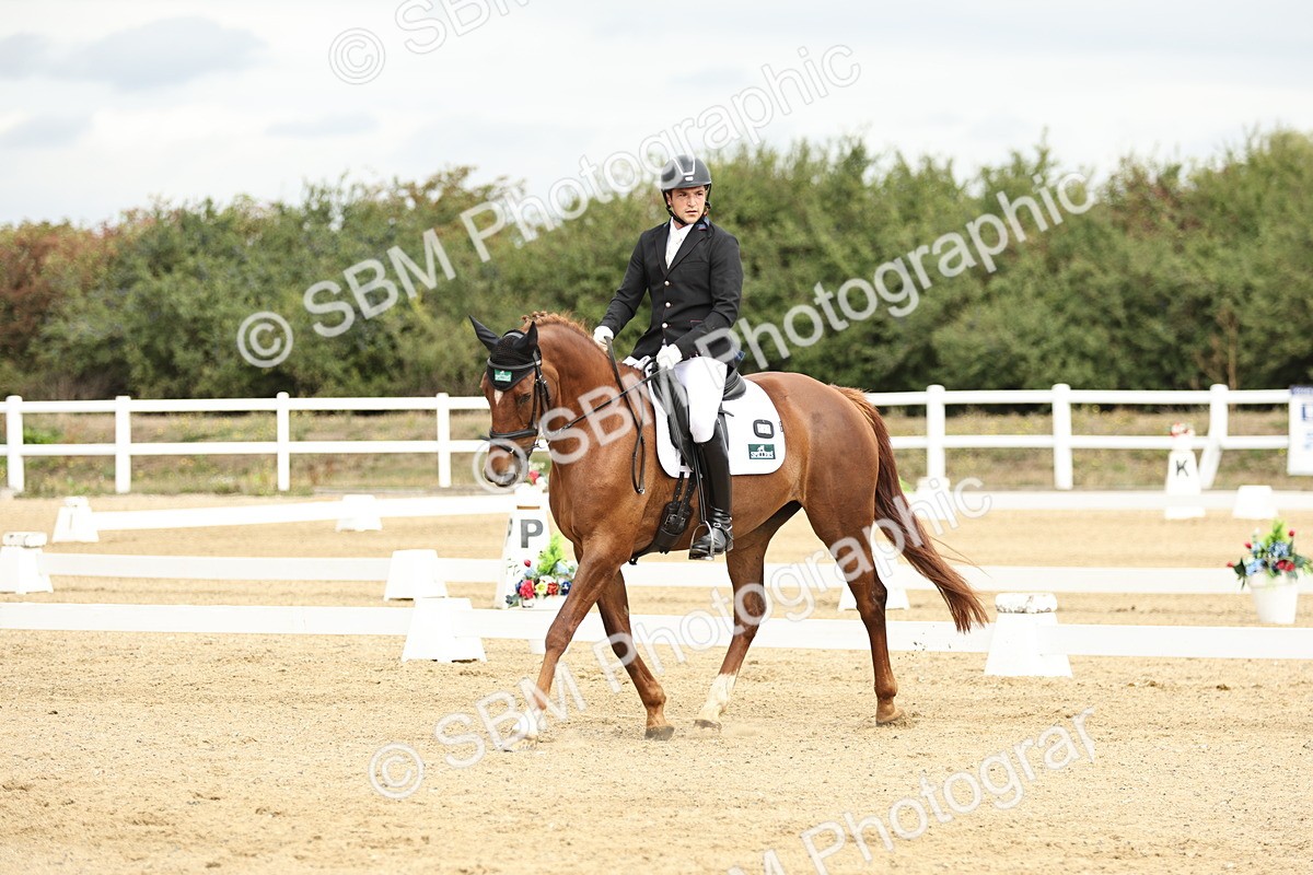 SBM_006917 - Class 21 - Medium 5 Bronze - 10.04-10.52