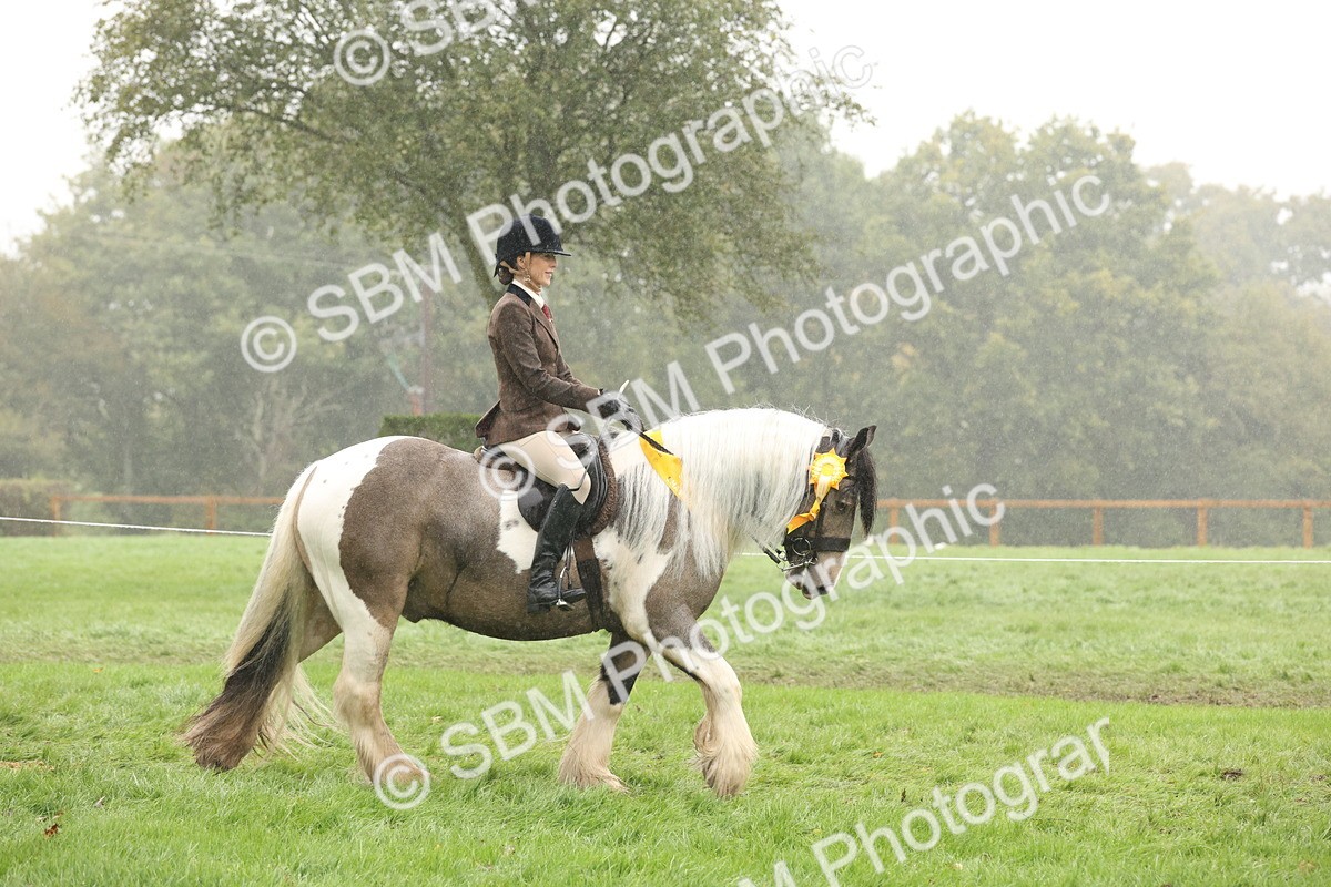 SBM_72877 - Ridden Horse Supreme Championship