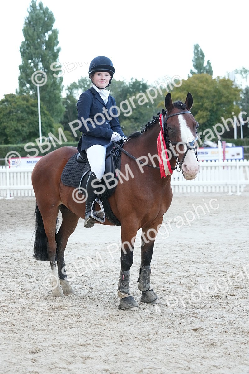 SBM_54259 - Supreme Championship 60cm 65cm