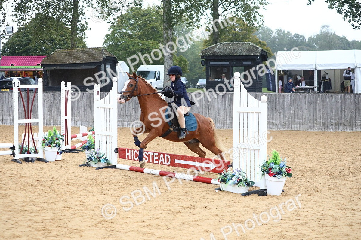SBM_71668 - J4 - Mini Tour Junior Pony 45cm Championship