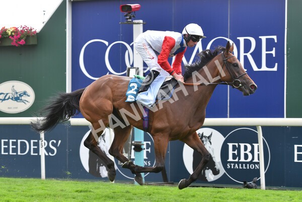 yr19082022r5-34 - Race 5 4.10pm Assured Data Protection EBF Fillies' Stakes