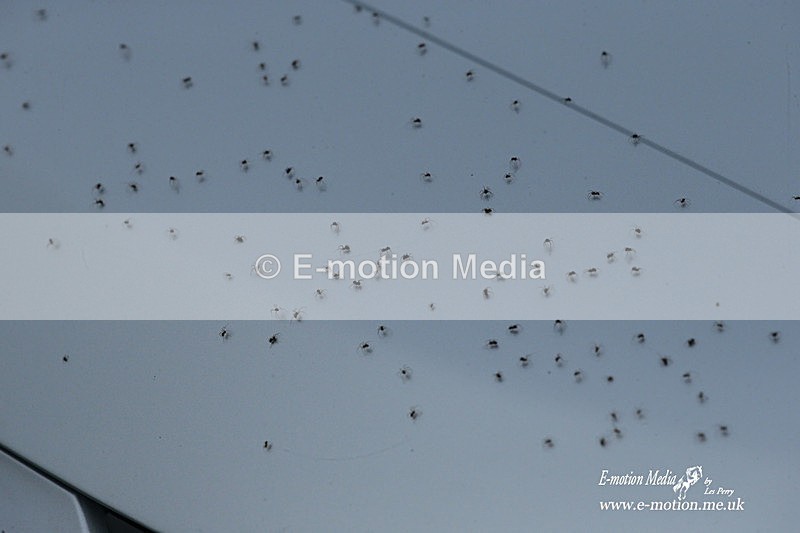 PtP 191221 570 - Avon Vale Races Larkhill 19/12/21