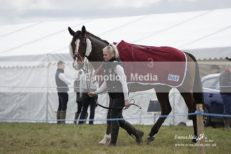 PtP 180323 234 - Shelfield Park Races with Croome & West Warwickshire Hunt  18/03/23