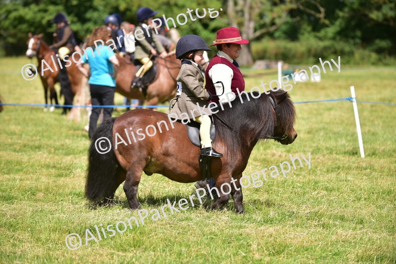 20260614-1160 - Class 11a - Lead Rein Pony (Unplaited)