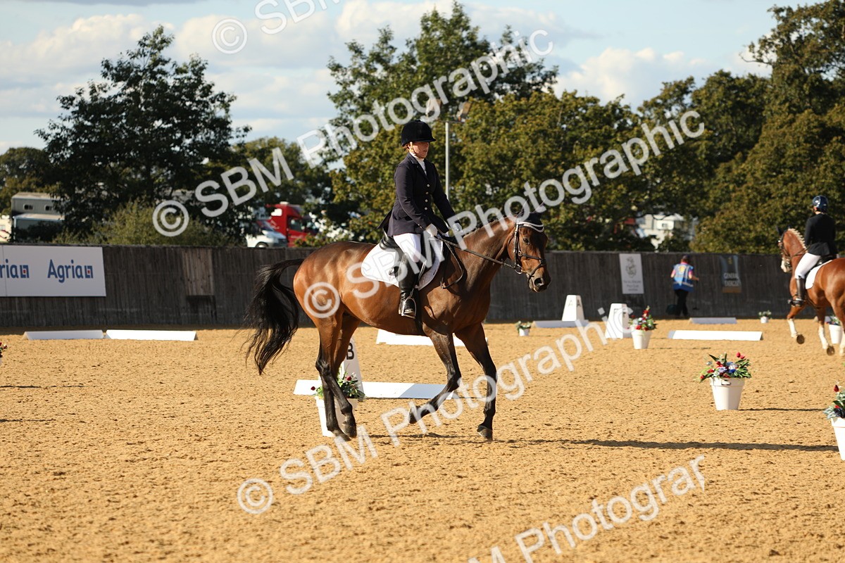 SBM_26959 - D17 - Grand Tour Championship - Novice 27