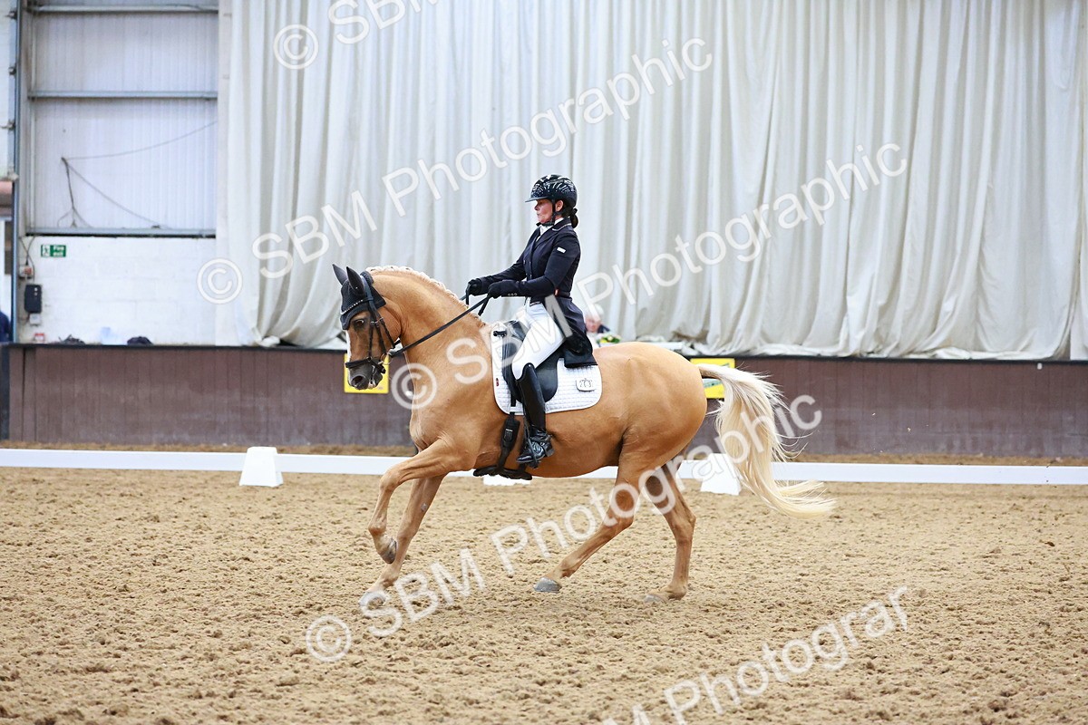 SBM_021316 - Class 25 - FEI PSG Bronze