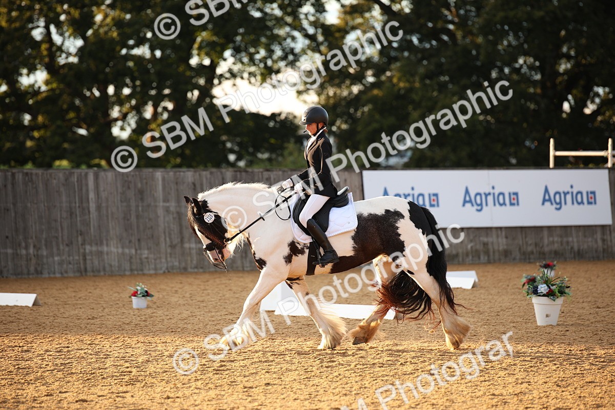 SBM_13327 - D3 Small  Tour Championship Intro A
