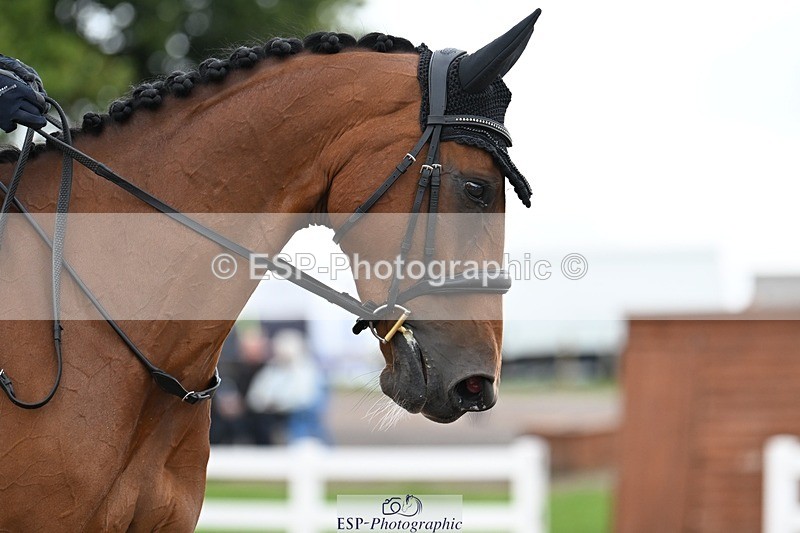 250907-121239-08259 - 066-Alice.KneenSpringtime.Marvel