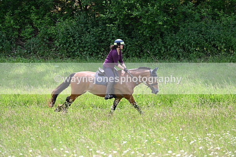 WJ7_8832 - Group 4 11am