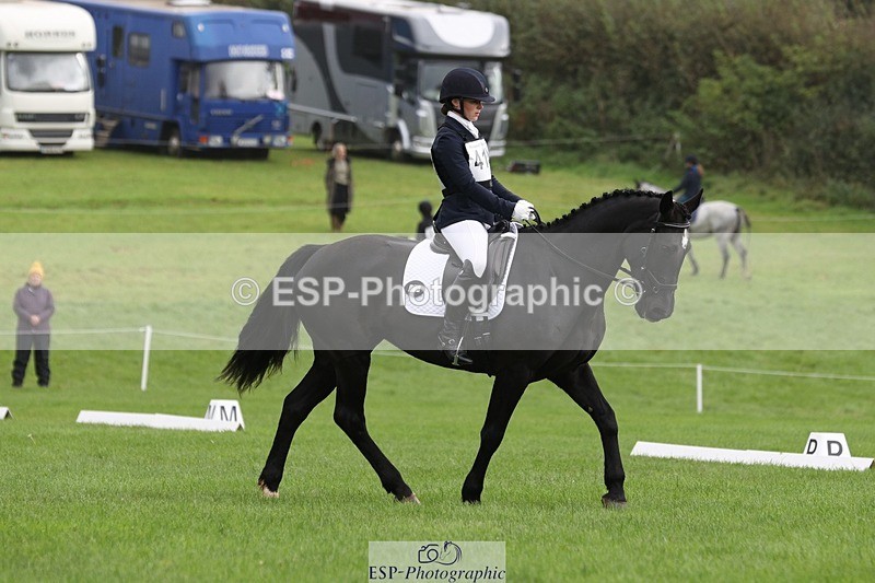 231019-103041-02338 - 414-LAMBORO.SPARKY-Lucy.Jowett-DR