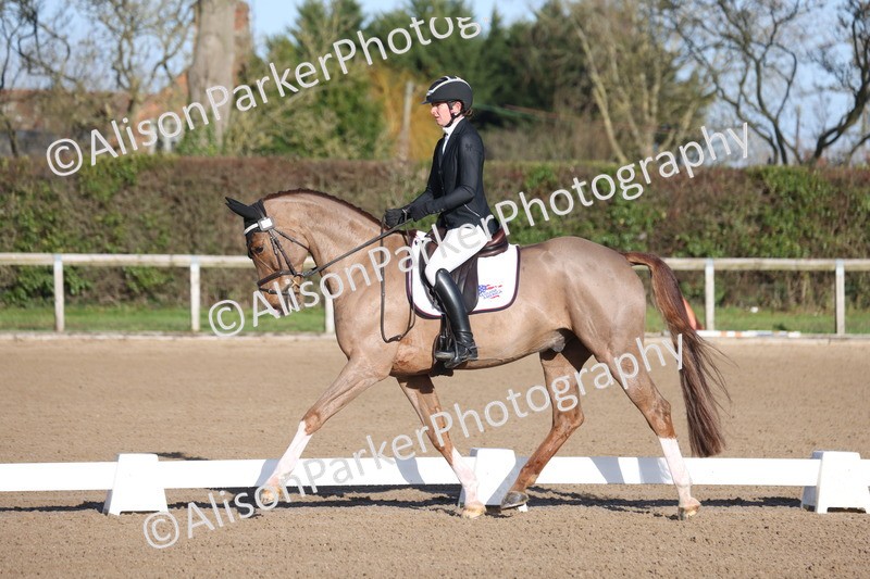 20260128-0167 - Class 3 - Novice 4