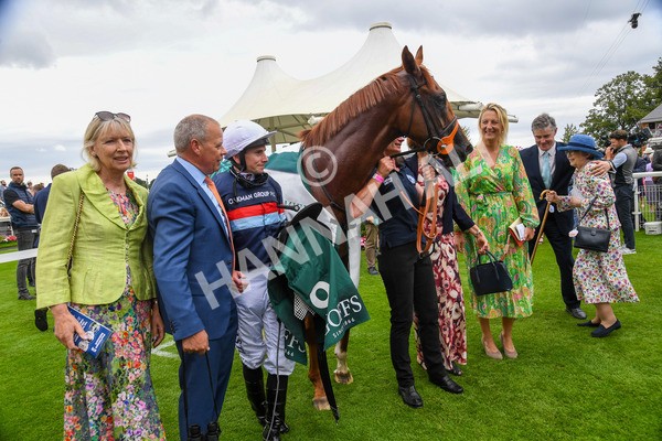 240823-Race 2-Dragon Leader-0232 - Race 2 2.25pm Goffs UK Harry Beeby Premier Yearling Stakes