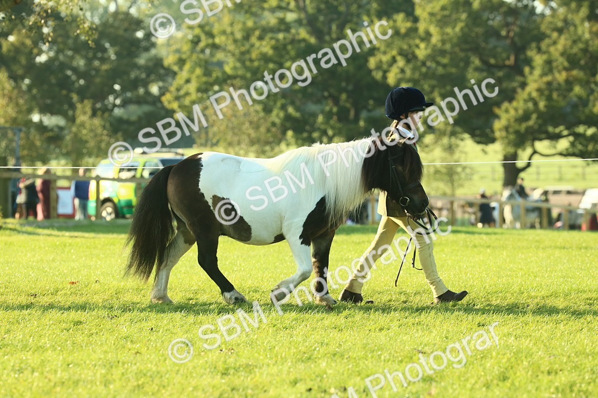 SBM_57286 - S37 - Starters In Hand Showing