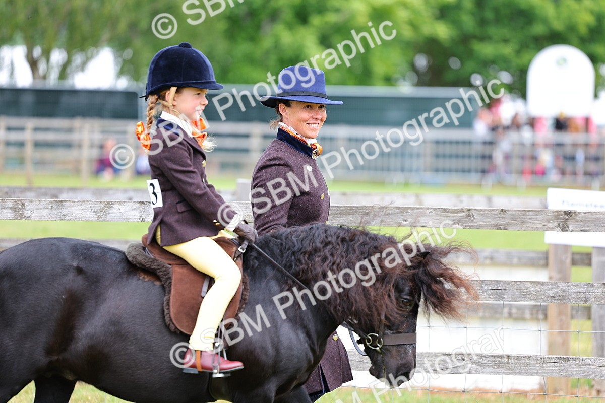SBM_08065 - Class 42-43 - LIHS BSPS Heritage Working Sports Pony