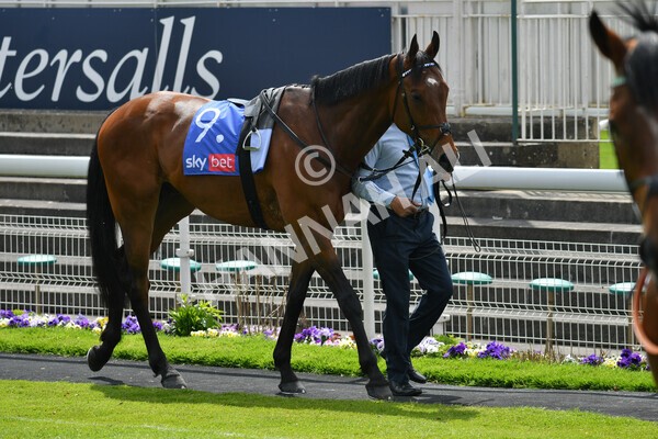 yr12052021r1-10 - Race 1 1.40pm Sky Bet Race to the Ebor Jorvik Stakes