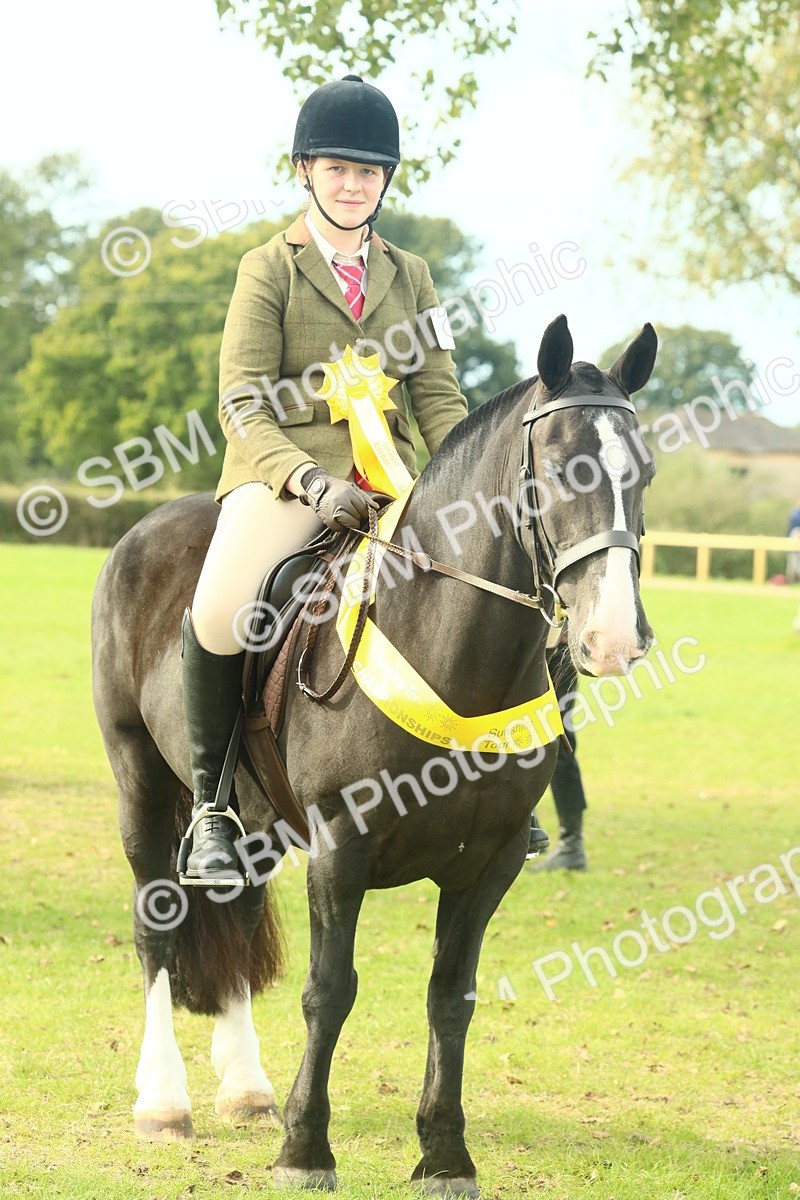 SBM_69398 - S58 - Mini Show Cob Ridden