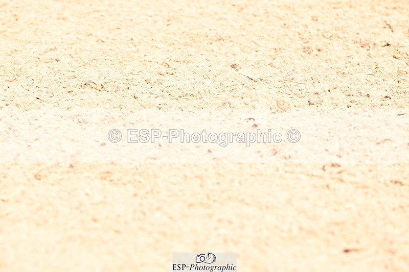 240324A-123648-02679 - Novice 27, 12.30 to 13.50