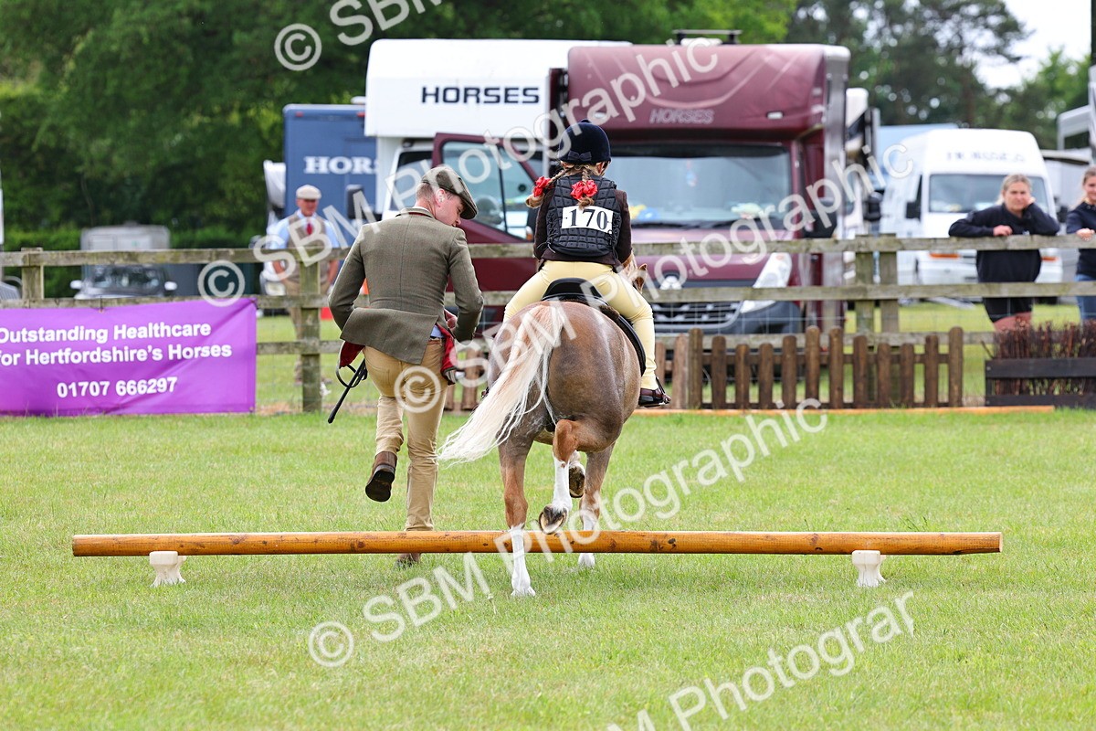 SBM_08177 - Class 42-43 - LIHS BSPS Heritage Working Sports Pony