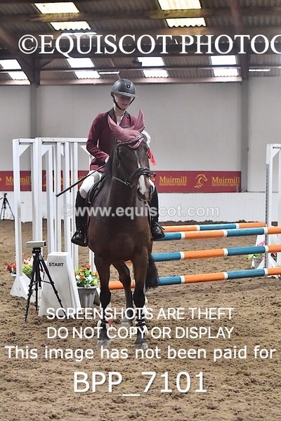 BPP_7101 - CLASS 2 Club/ Unaffiliated 80cms Open