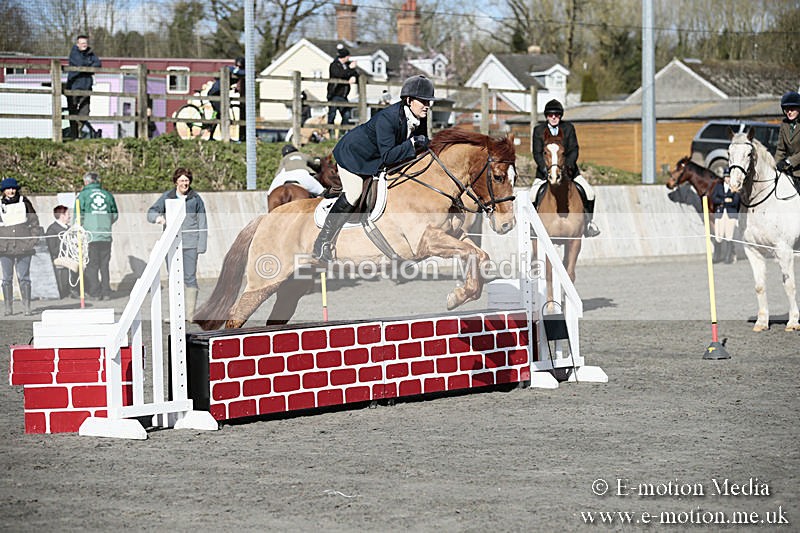 BVRC SJ 170319 117 - Bourne Valley Riding Club Showjumping 17/03/19