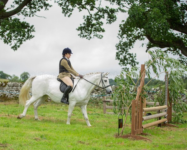 Dunblane show-363 - Dunblane and Doune Show Ring 1