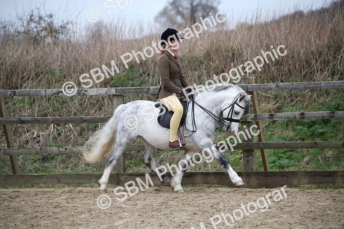 SBM_006314 - Class 10-13 - RIHS Small Large Breeds
