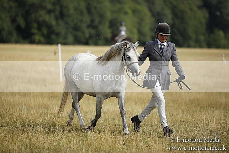 _C7A9245 - BVRC Sow 2018 Ring 2