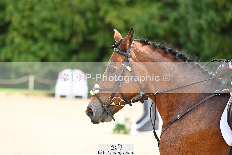 230826-115208-14979 - Jump Off