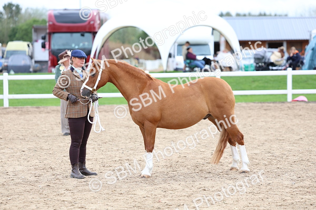 SBM_05899 - Class 29 - IH Veteran Pony