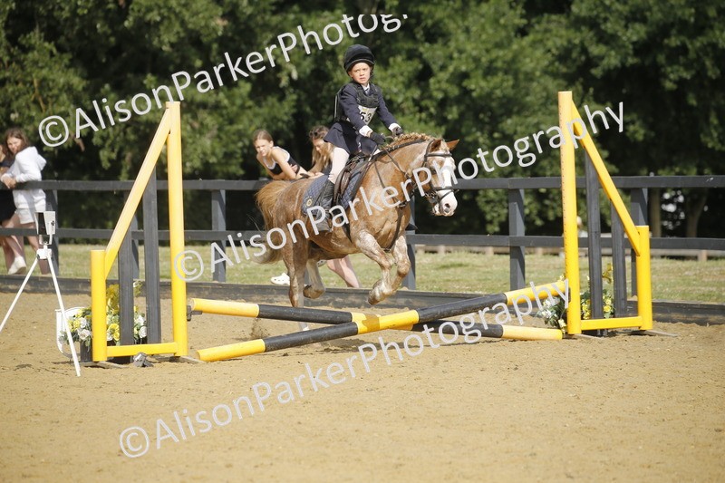 20250622-1562 - 40cm