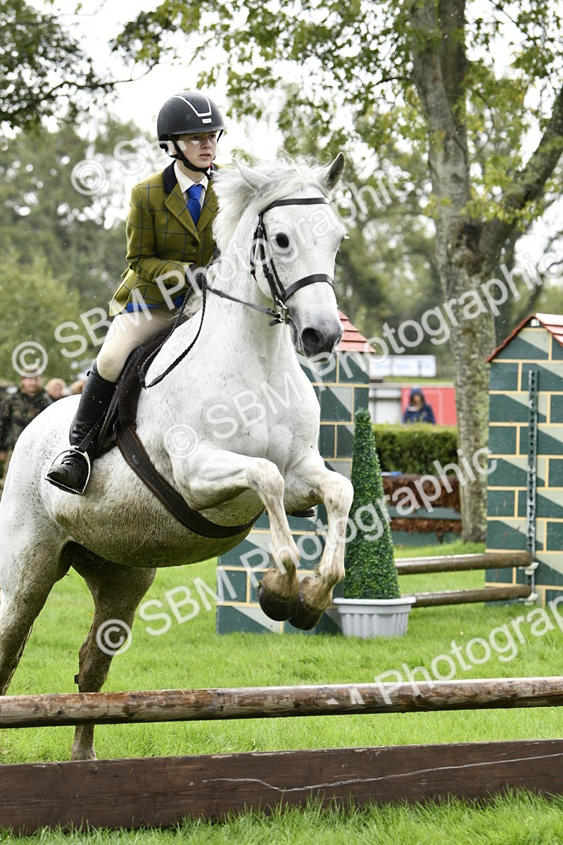 SBM_41430 - S32 - Mountain & Moorland Working Hunter Pony