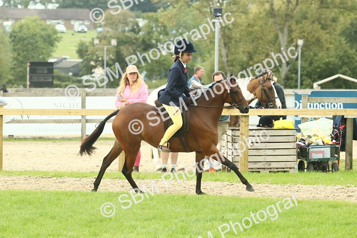 SBM_74039 - S 61 - Show Pony & Show Hunter Pony Ridden