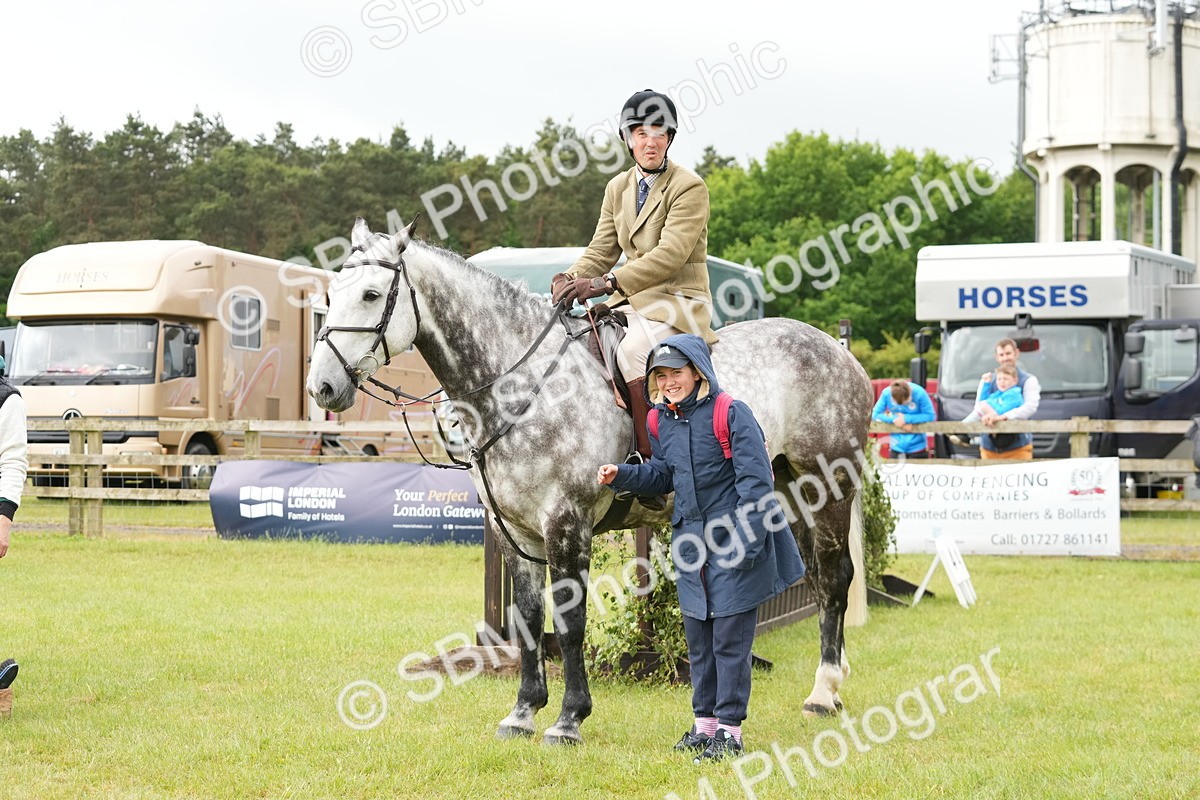 SBM_12785 - Class 97-98 - LIHS BSHA Rising Star Working Show Horse Hunter