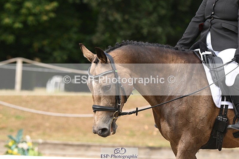 250719A-104604-04017 - 127-Jocelyn.Gilmore-Spring.Lily