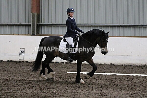 SIAL3872 - CAbin Dressage 5th july 2025