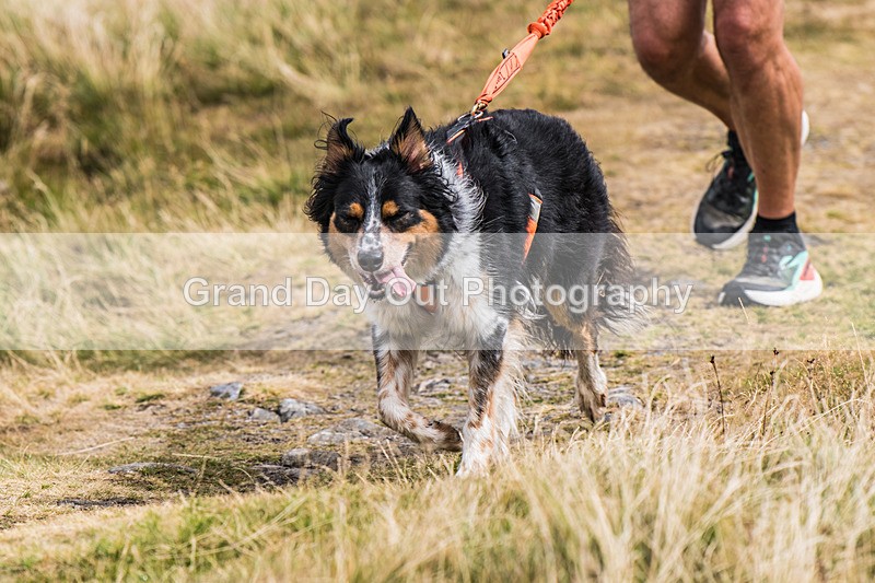 Lowther-743 - Lowther Lakeland Fell & Trail Race Sunday 9th August 2026
