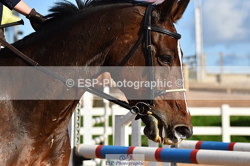 231014A-154502-06109 - Cls 16 1.10m Grand Prix