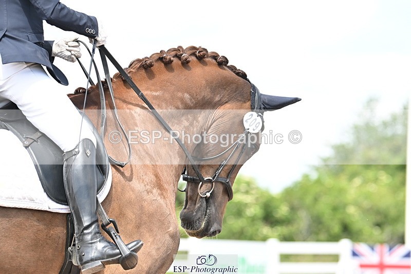 240621A-121827-02086 - Cls 7 BD Elementary 45