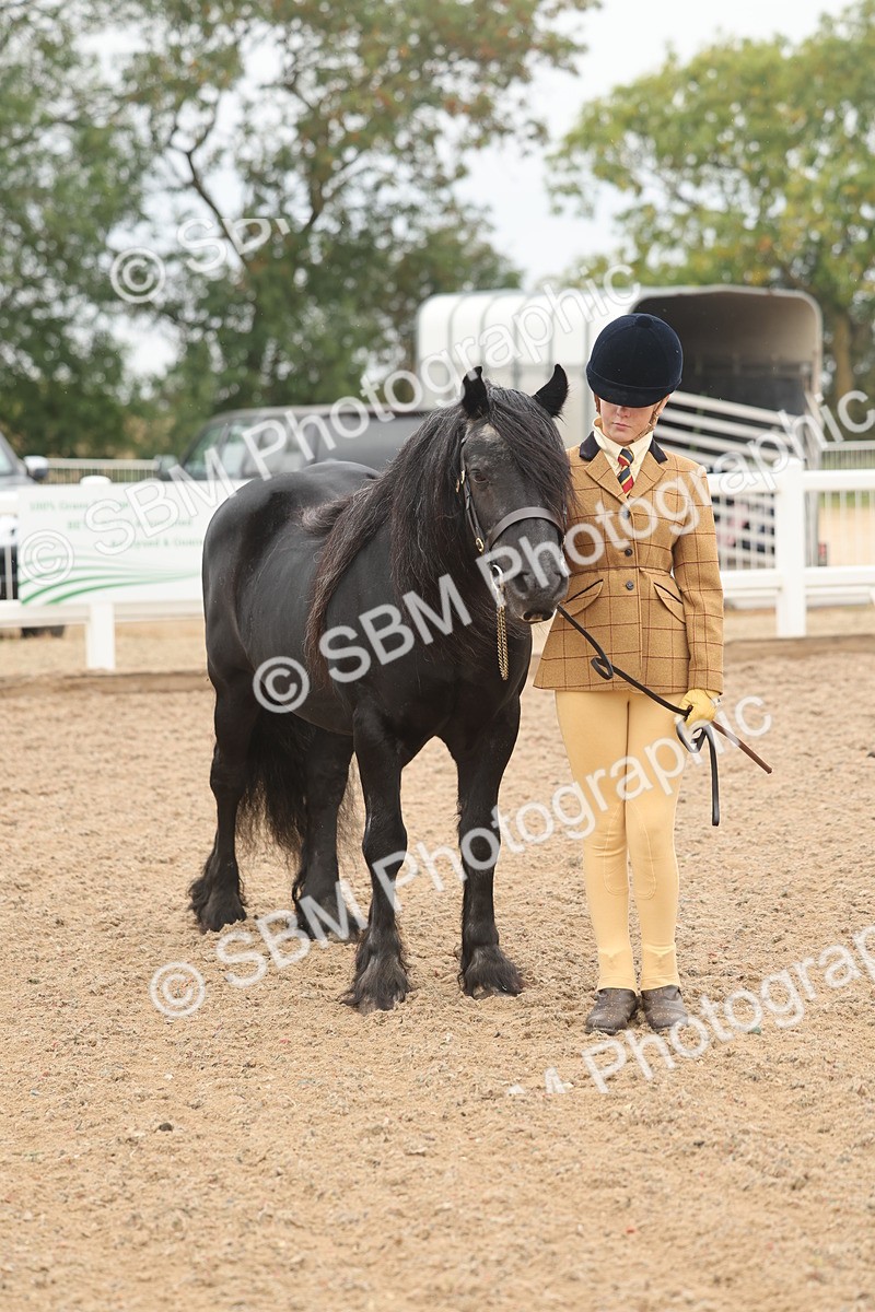 SBM_00544 - Class 13 Young Handler