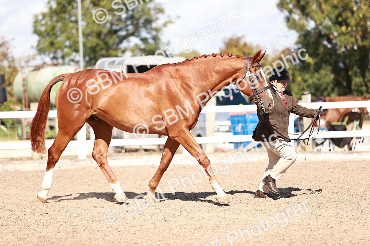 SBM_13328 - class 406 - IH Hunter