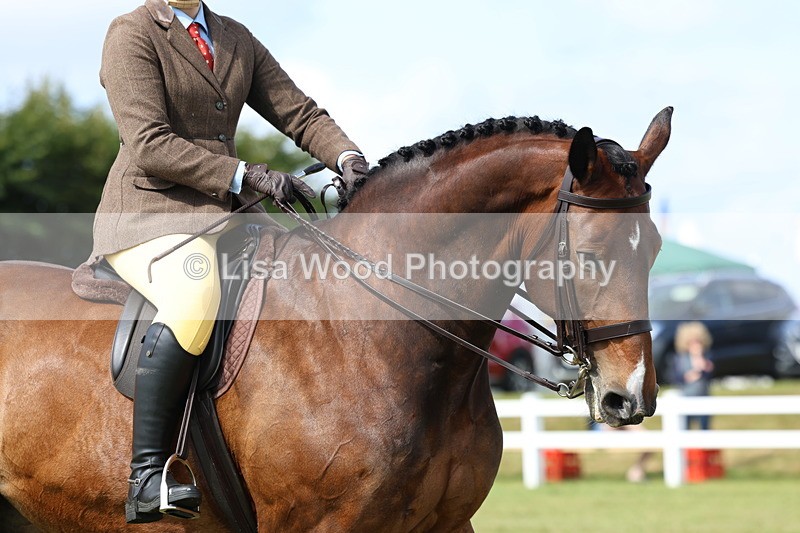 3E7A9472 - Class 4: Rising Star M/H Hunter