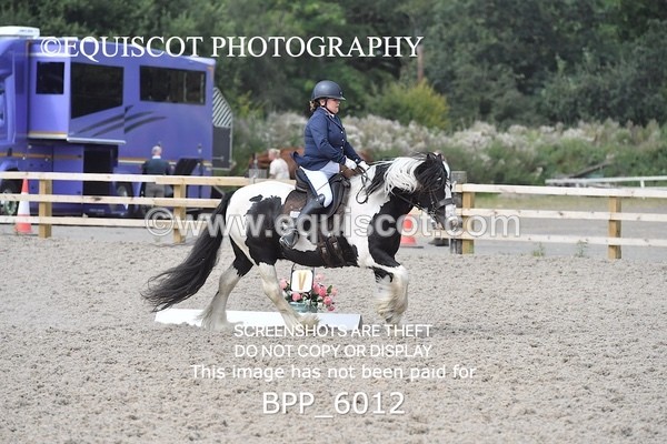 BPP_6012 - PRELIM TEST 5 LONG ARENA