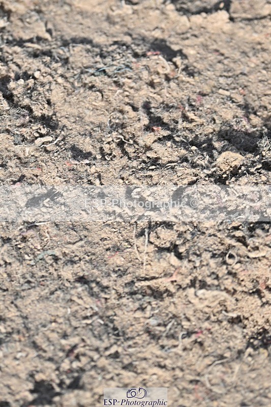 250301-141218-01822 - 1m