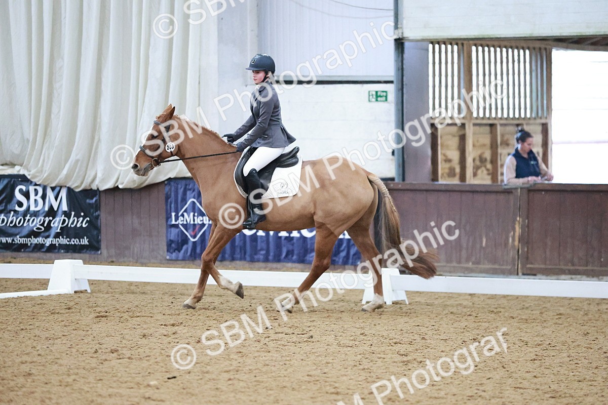 SBM_004646 - Ring 3 - International -  Working Hunter Classes 23-2-25
