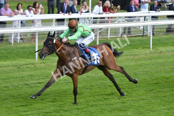 yr09072021r5-46 - Race 5: 4.20pm Garbutt + Elliott Stakes