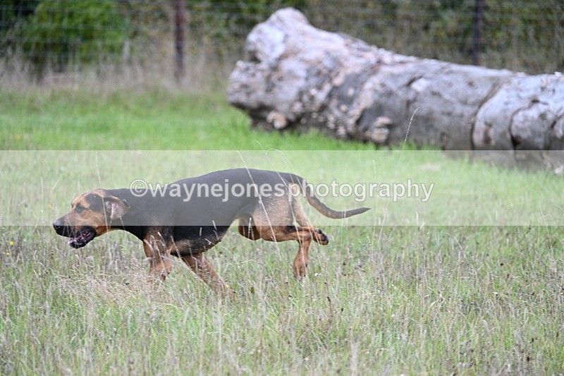 WJ7_3522 - Camera 1 Line 1