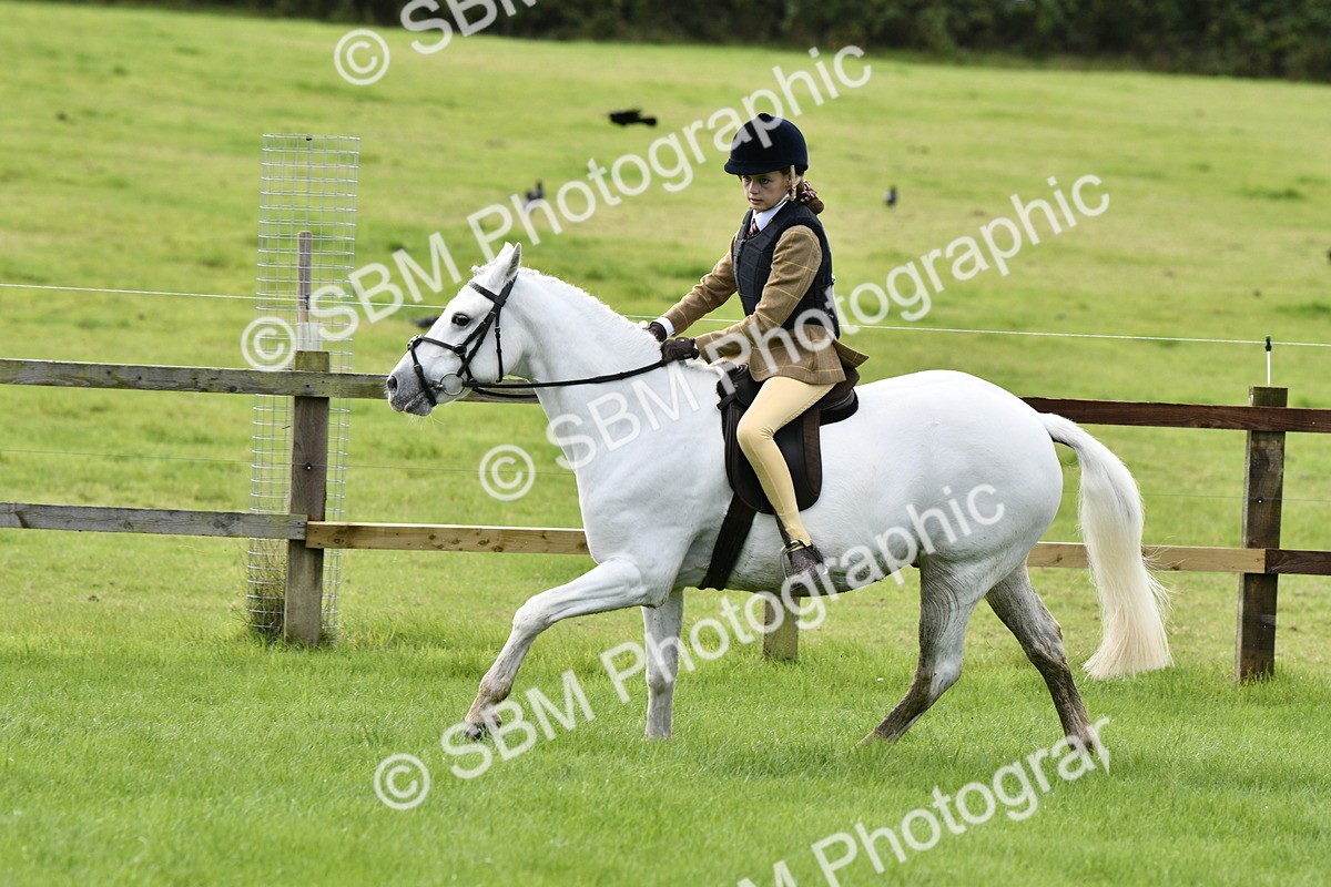 SBM_41599 - S32 - Mountain & Moorland Working Hunter Pony